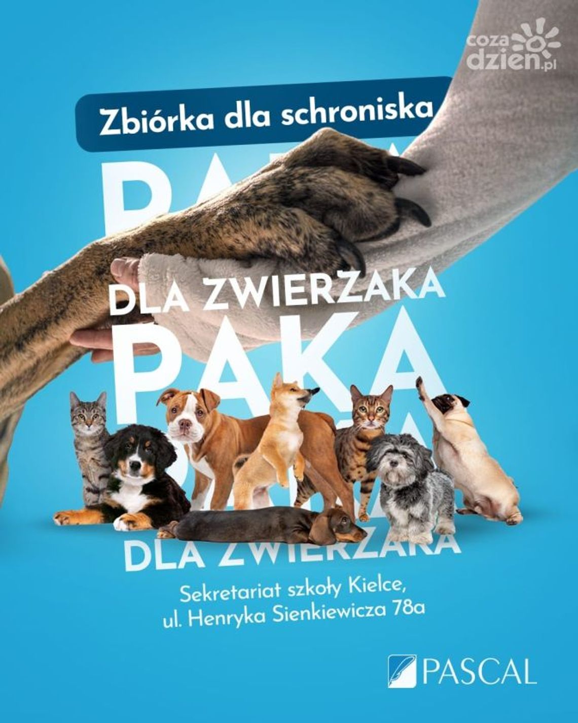 Szkoła Pascal organizuje zbiórkę Paka dla zwierzaka