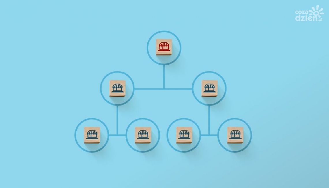 Szkolenia wdrożeniowe we franczyzie – skuteczna pomoc na start