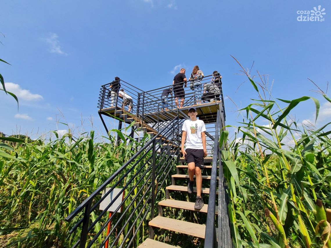 Szlaki turystyki w Świętokrzyskiem w aplikacji turystycznej Szlaki turystyki w Świętokrzyskiem w aplikacji turystycznej