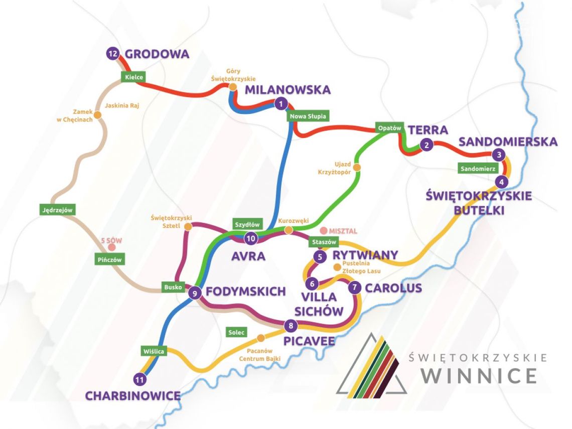 Szlakiem świętokrzyskich winnic 