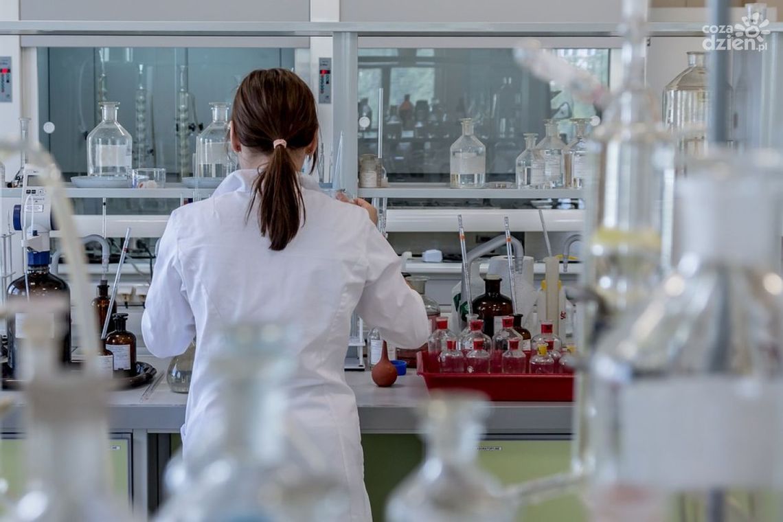 Szpital w Kielcach zatrudni kierownika laboratorium Szpital w Kielcach zatrudni kierownika laboratorium