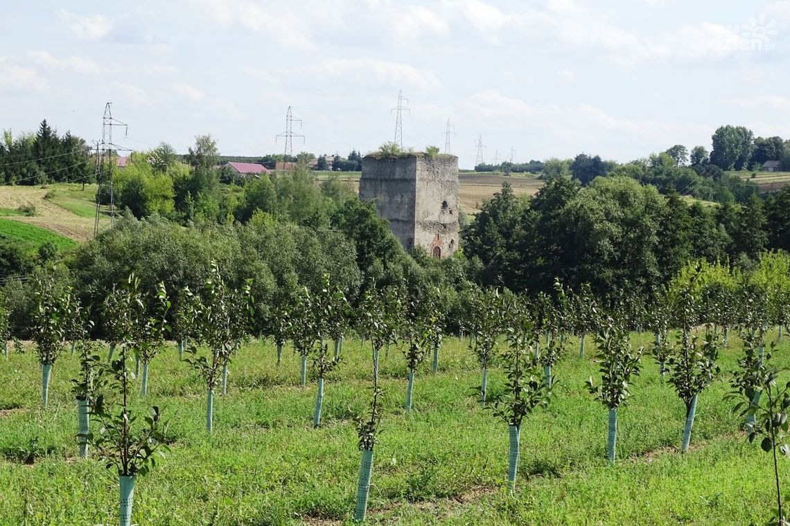 Tajemnicza wieża cz. II Tajemnicza wieża cz. II