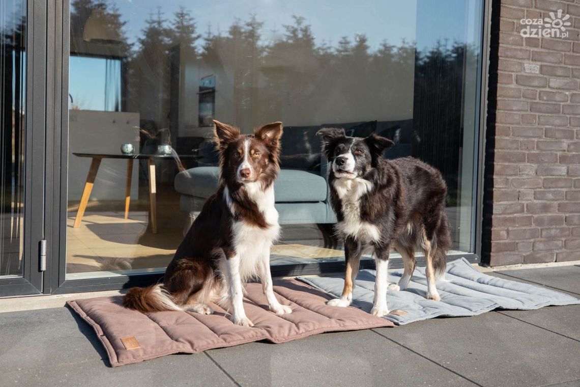 Taras – niezawodne miejsce na relaks Taras – niezawodne miejsce na relaks