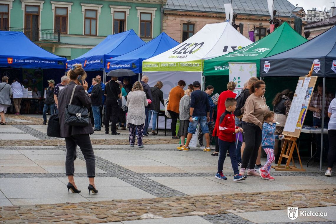 Targi Pracy na kieleckim Rynku