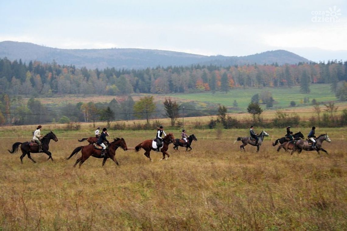 Tomasz Marcinowski: W tym roku Hubertus będzie skromniejszy Tomasz Marcinowski: W tym roku Hubertus będzie skromniejszy