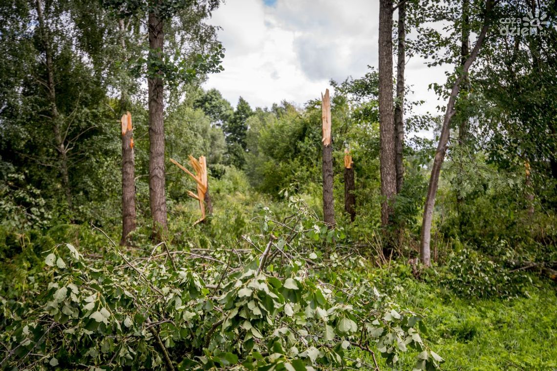 Trąba powietrzna w okolicy Morawicy? [video]