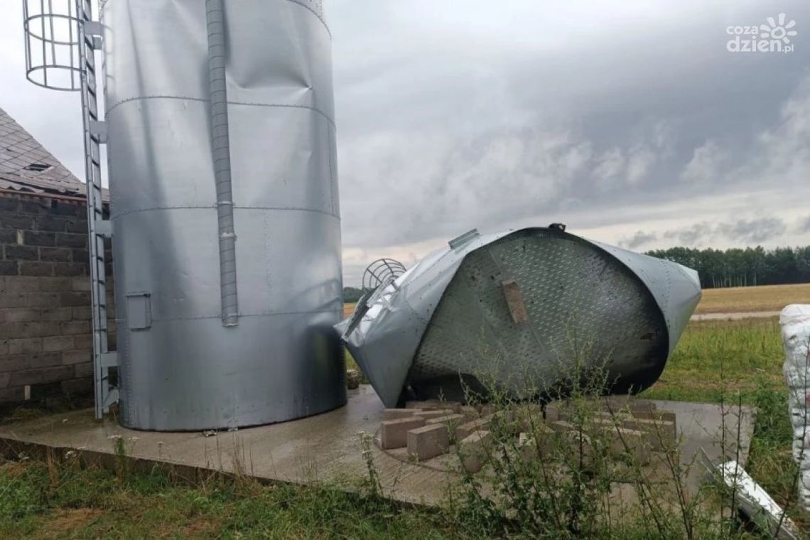 Tragedia rolników. Nie mają zboża na jesienne zasiewy Tragedia rolników. Nie mają zboża na jesienne zasiewy