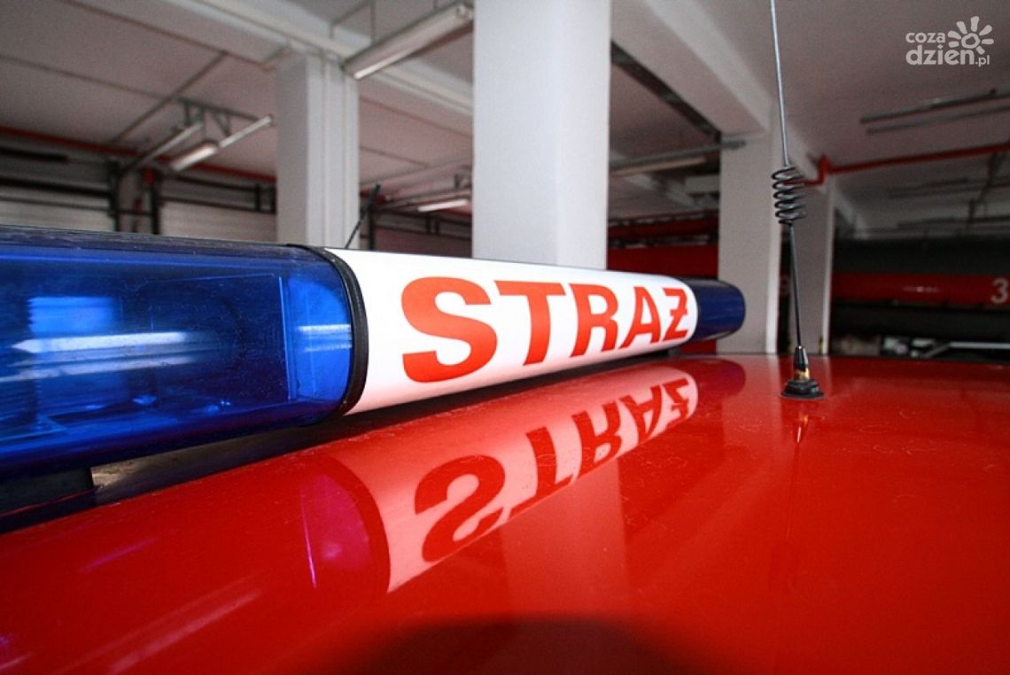 Tragedia w Bodzechowie - spłonął młody mężczyzna! Tragedia w Bodzechowie - spłonął młody mężczyzna!