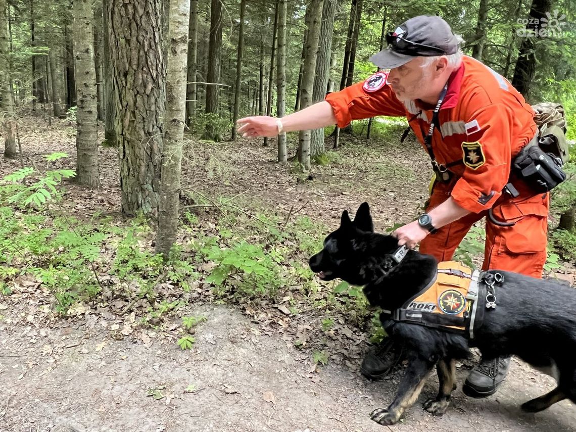Tropem pozoranta z certyfikowanym psem u boku Tropem pozoranta z certyfikowanym psem u boku