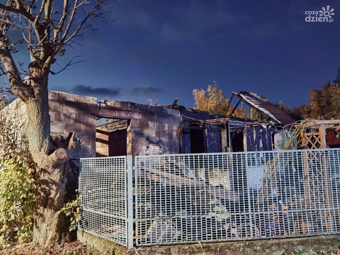 Trwa akcja pomocy dla rodziny z Romanowa Trwa akcja pomocy dla rodziny z Romanowa