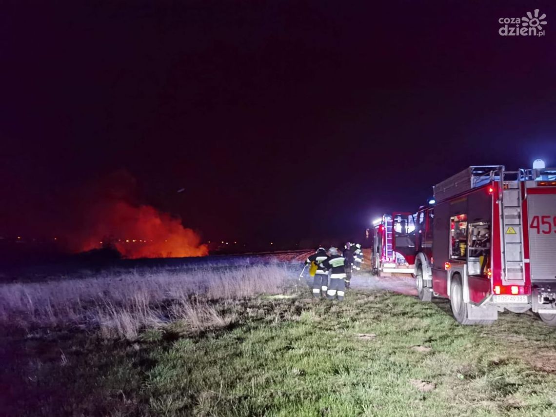 Trwa czarna seria pożarów traw Trwa czarna seria pożarów traw