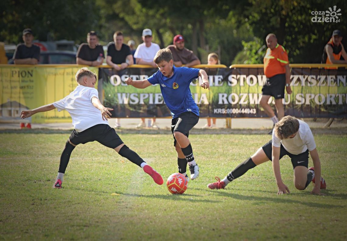 Turniej Ogrody 2025 już za nami Turniej Ogrody 2025 już za nami