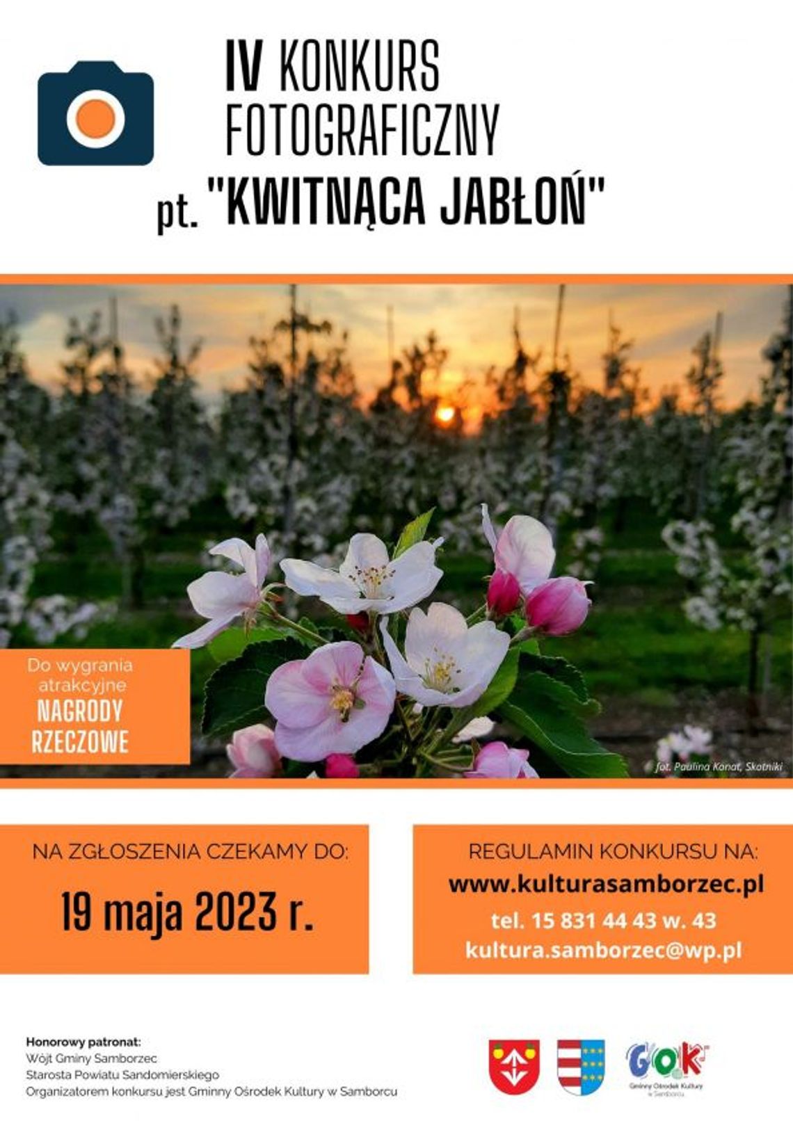 Uchwycić piękno kwitnących jabłoni Uchwycić piękno kwitnących jabłoni