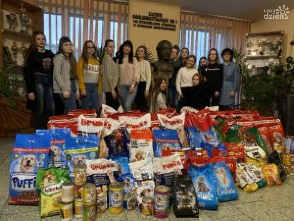 Uczniowie "Staszica" na rzecz zwierząt Uczniowie "Staszica" na rzecz zwierząt