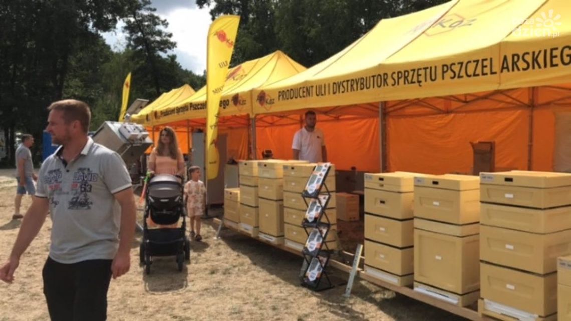 Udane Świętokrzyskie Święto Pszczoły w Bałtowie Udane Świętokrzyskie Święto Pszczoły w Bałtowie