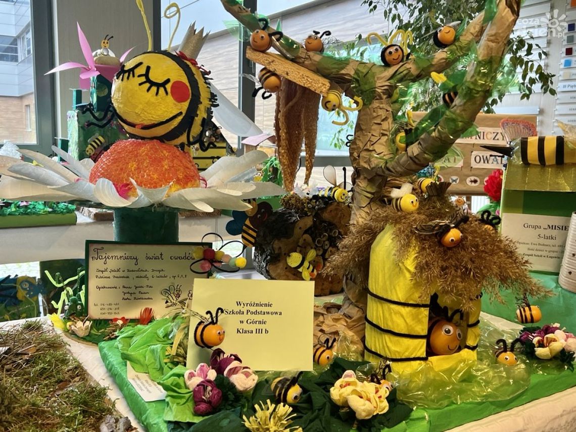 Urocze bzyczki w różnym wydaniu w Starostwie Powiatowym Urocze bzyczki w różnym wydaniu w Starostwie Powiatowym