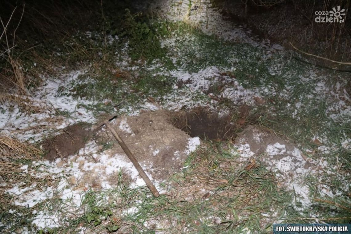 Uśmiercili szczeniaki! Grozi im 5 lat pozbawienia wolności Uśmiercili szczeniaki! Grozi im 5 lat pozbawienia wolności