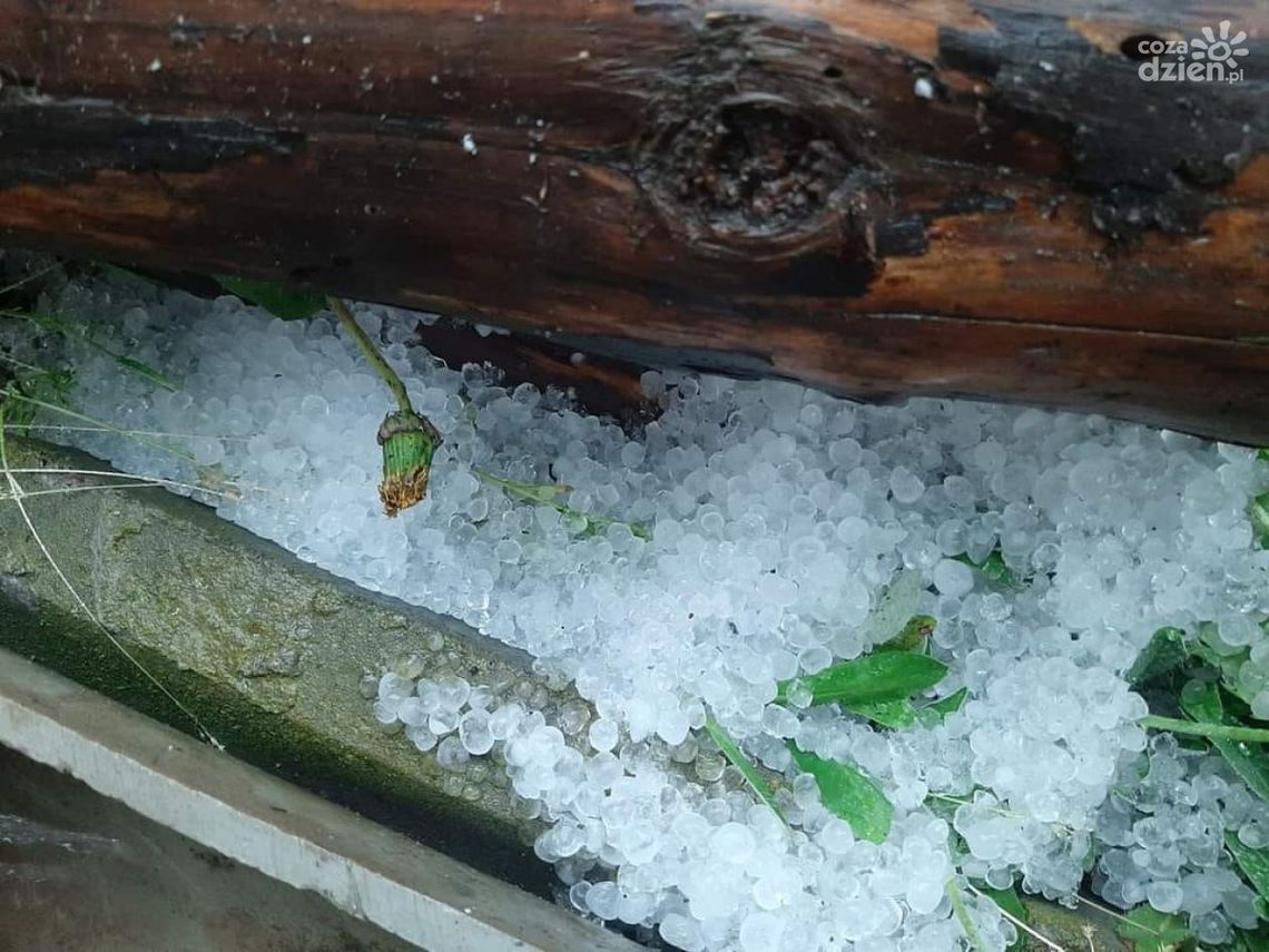 Uszkodzony komin, powalone drzewa, zalane posesje. To skutki środowych nawałnic Uszkodzony komin, powalone drzewa, zalane posesje. To skutki środowych nawałnic