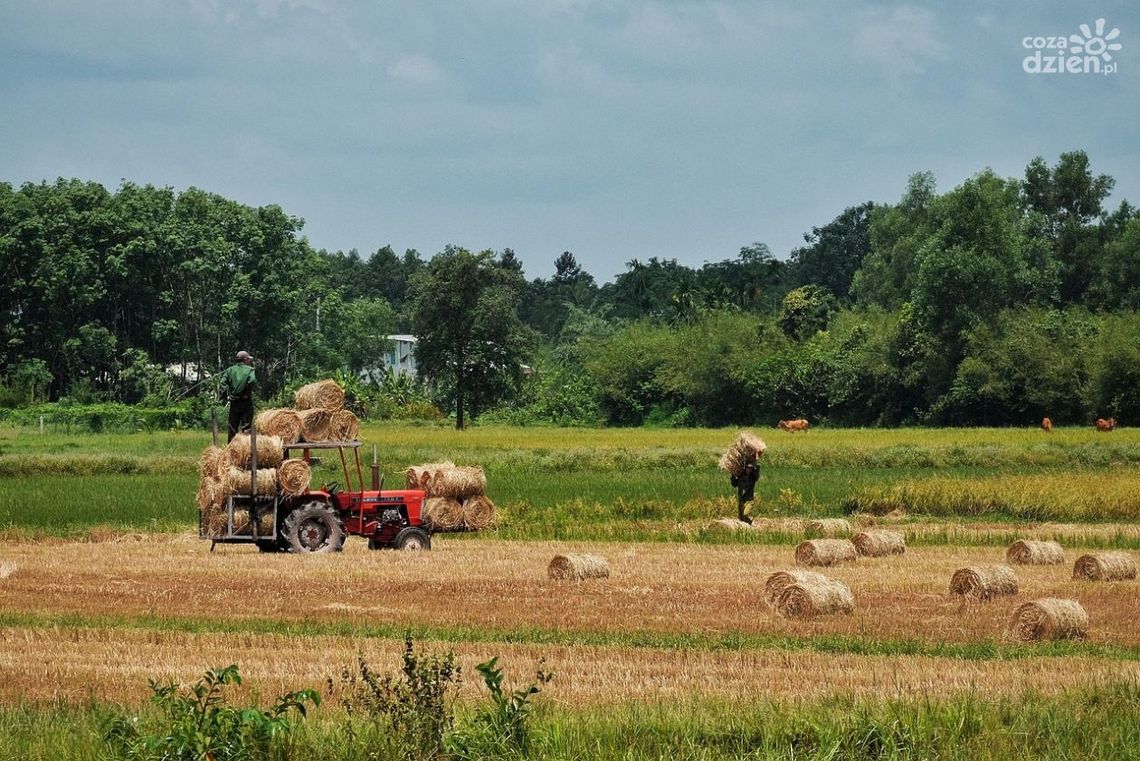 Uważajmy podczas prac rolniczych