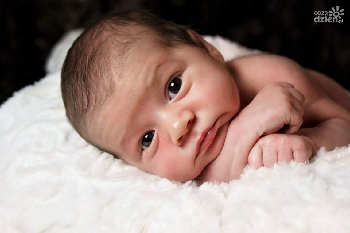 W 2023 kielczanie stawiali na tradycyjne imiona dla pociech W 2023 kielczanie stawiali na tradycyjne imiona dla pociech