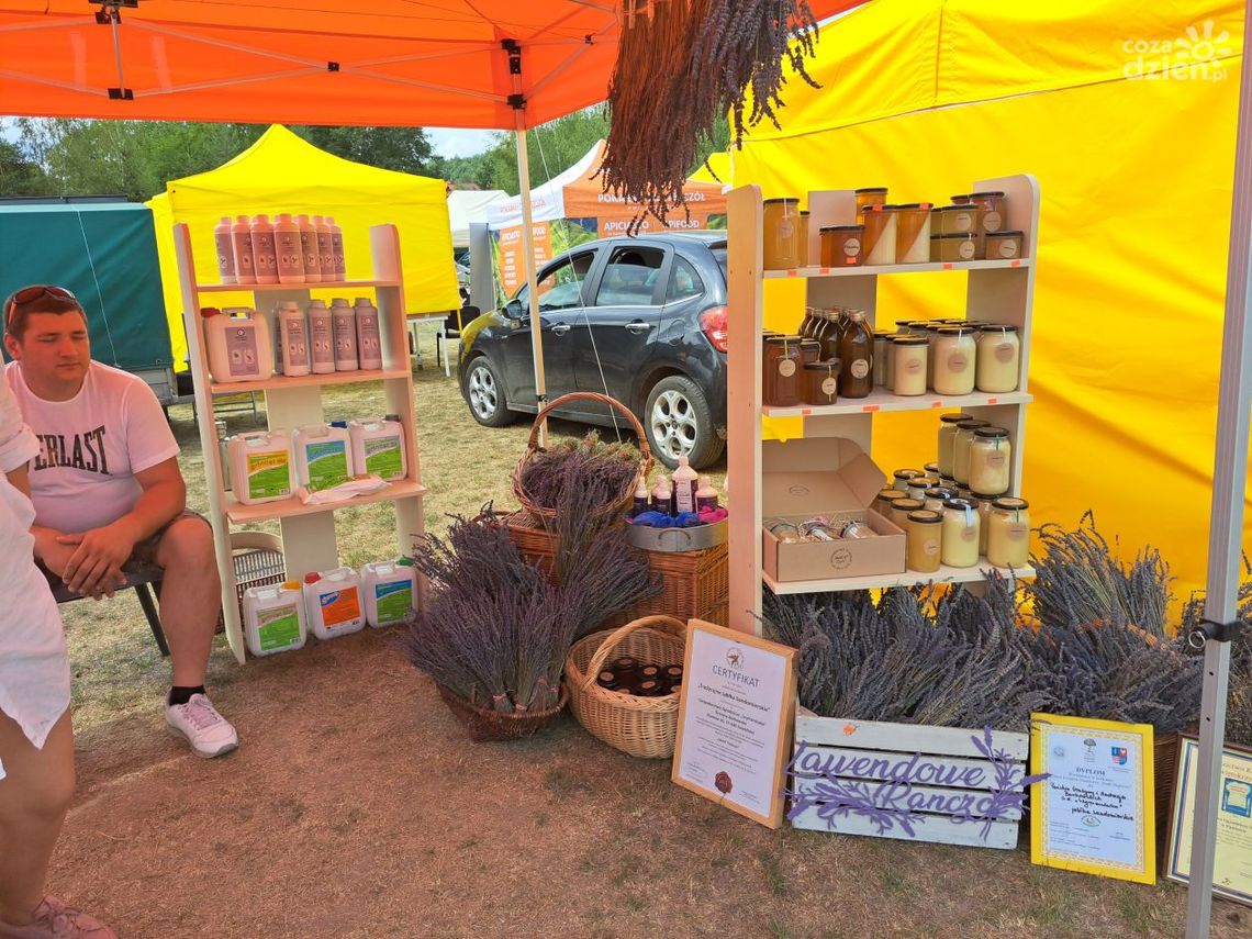 W Bałtowie odbędzie się16- ste Święto Pszczoły W Bałtowie odbędzie się16- ste Święto Pszczoły