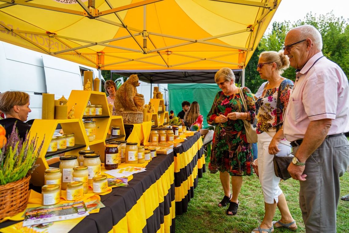 W Bałtowie trwa Świętokrzyskie Święto Pszczoły W Bałtowie trwa Świętokrzyskie Święto Pszczoły