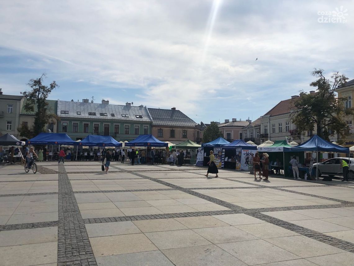 W czwartek 8 września odbyły się Targi Pracy w Kielcach