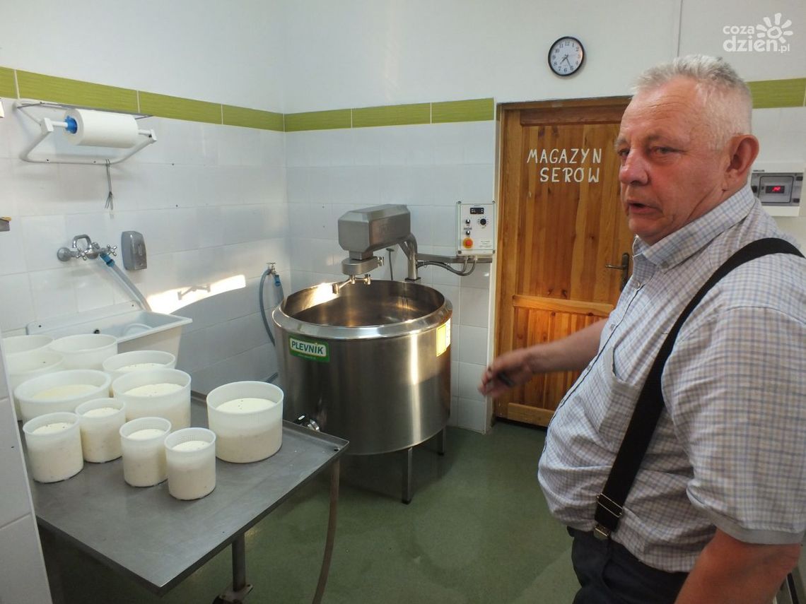 W Drygulcu sery robią W Drygulcu sery robią