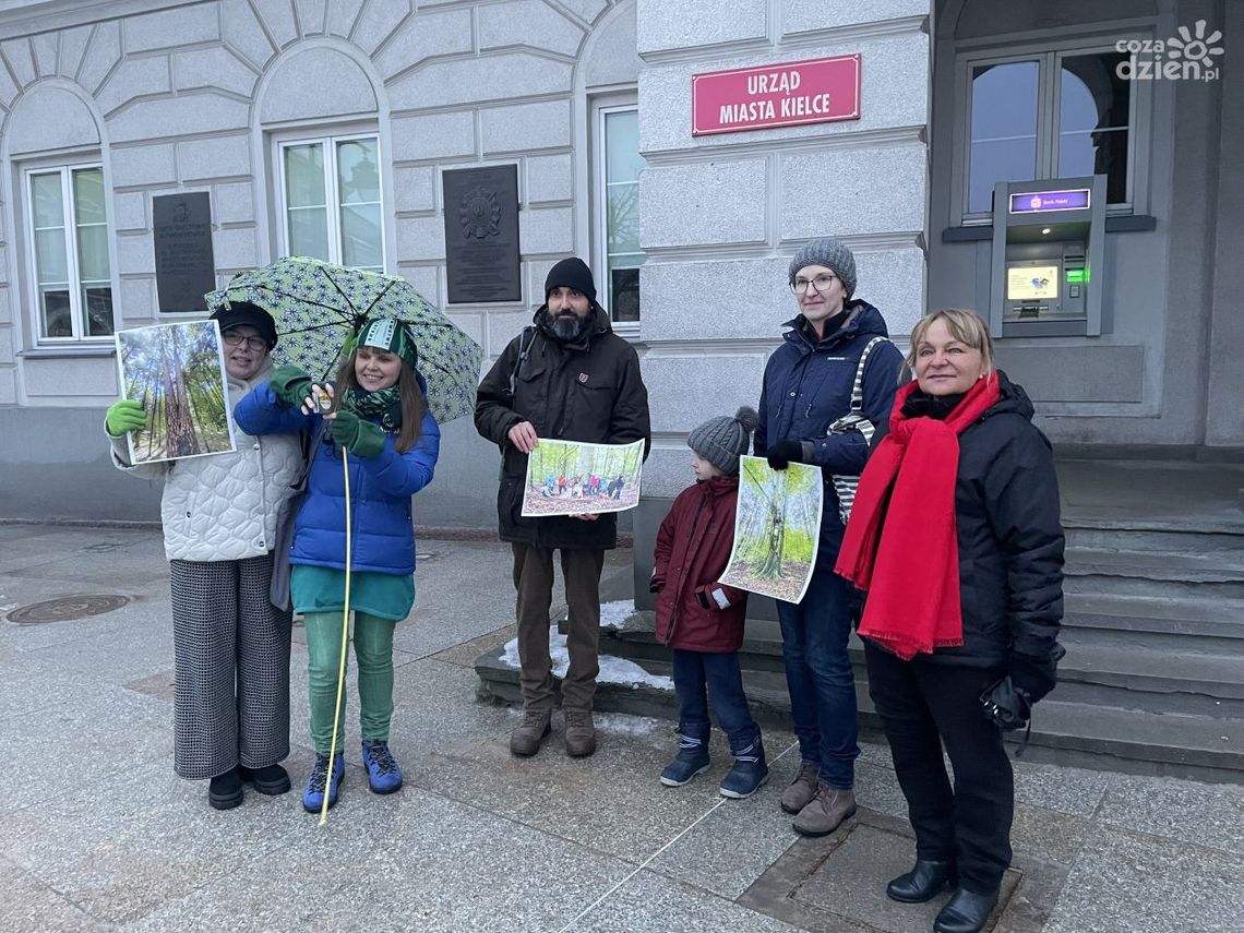 W Kielcach będzie więcej pomników przyrody