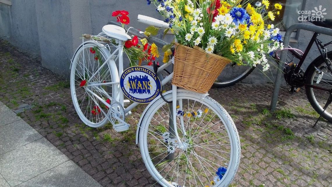 W Kielcach jak w Amsterdamie. Kolorowe rowery zdobią ulicę Sienkiewicza W Kielcach jak w Amsterdamie. Kolorowe rowery zdobią ulicę Sienkiewicza
