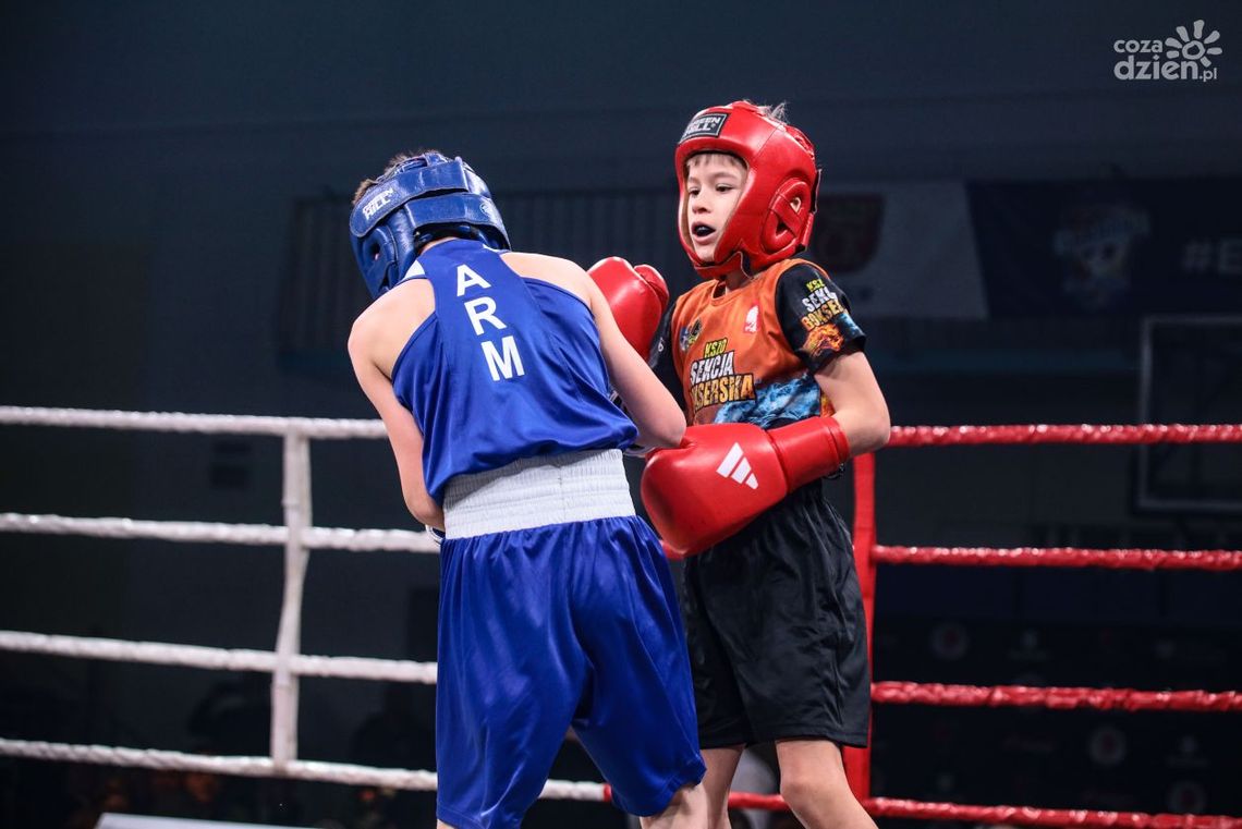 W Kielcach odbywały się Mistrzostwa Okręgu Świętokrzyskiego w Boksie
W Kielcach odbywały się Mistrzostwa Okręgu Świętokrzyskiego w Boksie