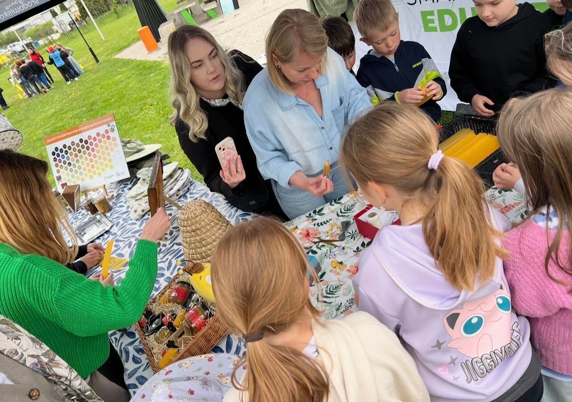 W Kielcach powstała miejska pasieka edukacyjna z recyklingu W Kielcach powstała miejska pasieka edukacyjna z recyklingu