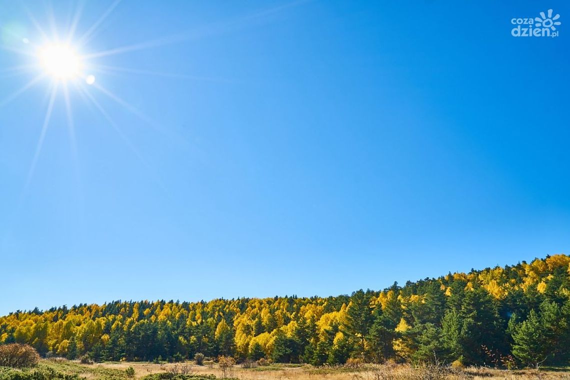 W Kunowie otwarto terenową placówkę WFOŚiGW