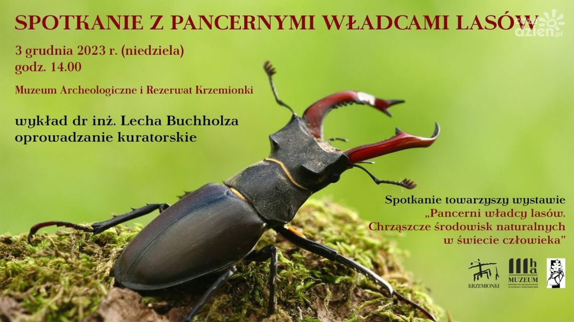 W muzeum na Krzemionkach spotkanie z pancernymi władcami lasów W muzeum na Krzemionkach spotkanie z pancernymi władcami lasów