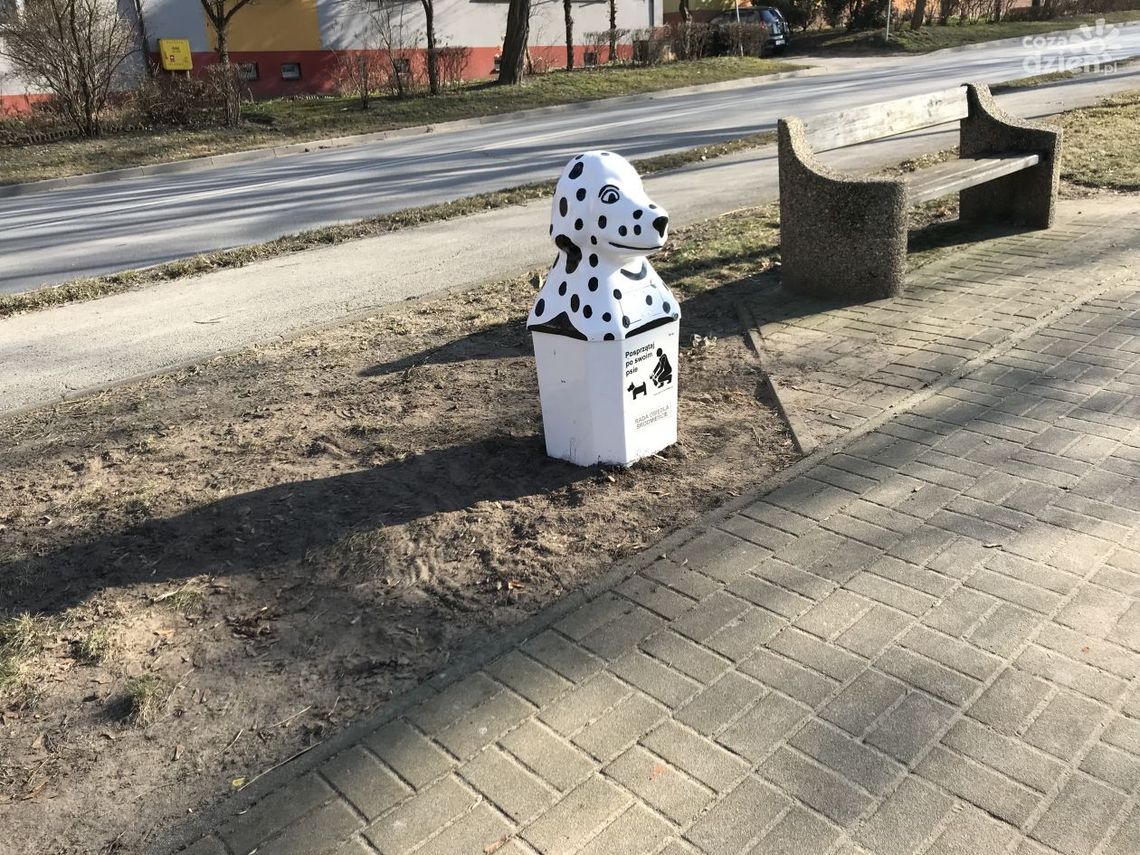 W Ostrowcu psie nieczystości trafiają do "psich" koszy W Ostrowcu psie nieczystości trafiają do "psich" koszy