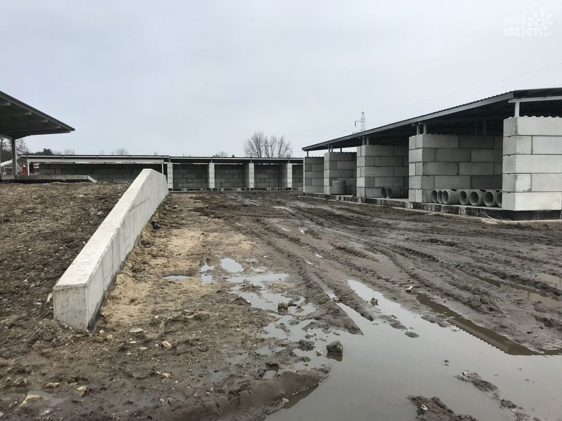 W Ostrowcu to gmina będzie prowadziła Punkt Selektywnej Zbiórki Odpadów Komunalnych W Ostrowcu to gmina będzie prowadziła Punkt Selektywnej Zbiórki Odpadów Komunalnych