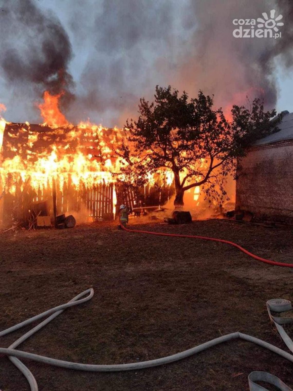 W Śnieżkowicach spłonęła stodoła
W Śnieżkowicach spłonęła stodoła