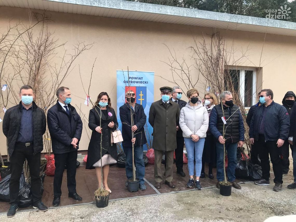 W trosce o pszczoły W trosce o pszczoły