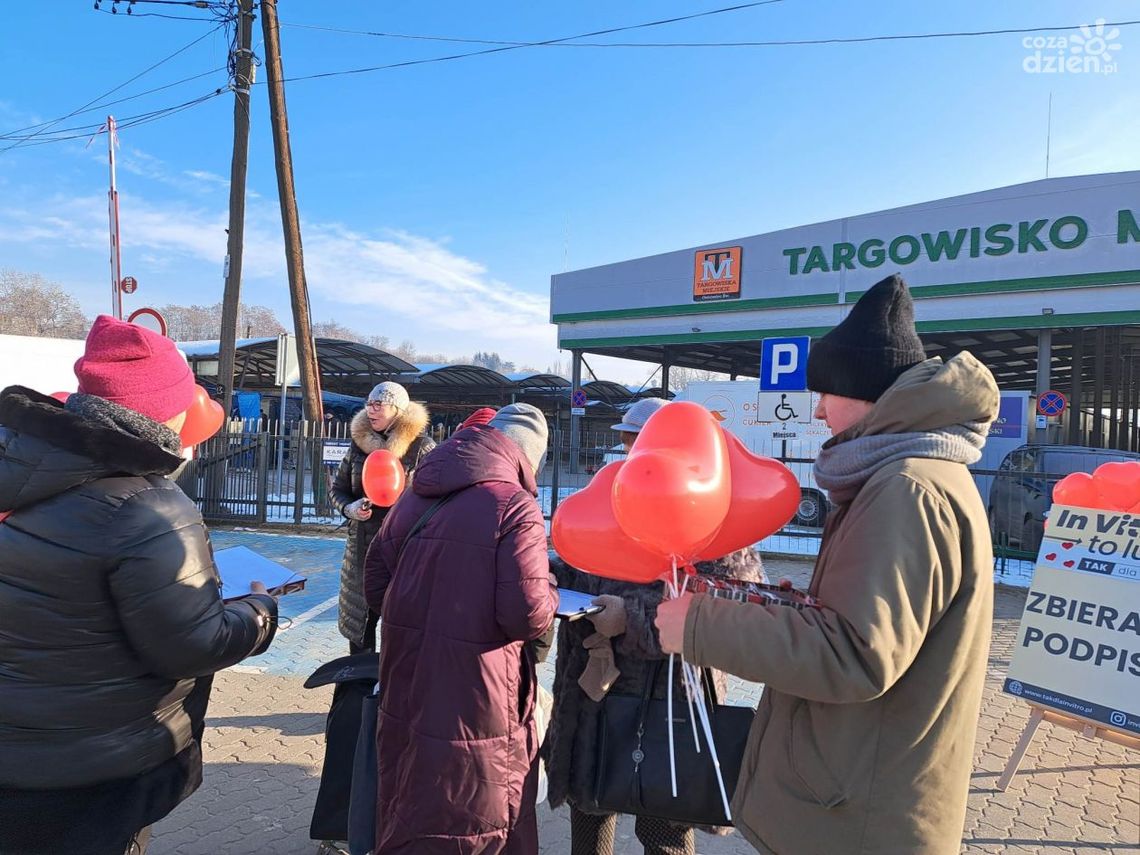 W walentynkowym nastroju zbierano podpisy pod ustawą in vitro W walentynkowym nastroju zbierano podpisy pod ustawą in vitro