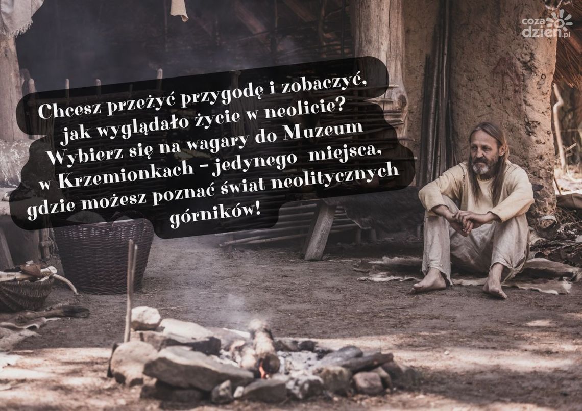 Wagary w rezerwacie Krzemionki Wagary w rezerwacie Krzemionki