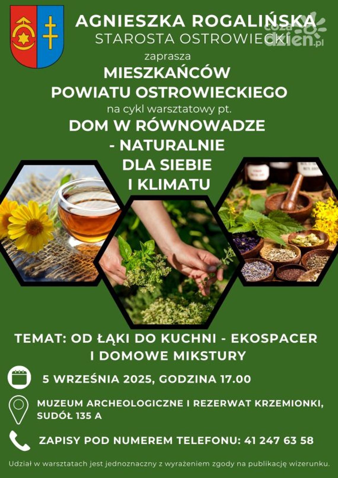 Warsztaty zielarskie w ostrowieckim starostwie Warsztaty zielarskie w ostrowieckim starostwie