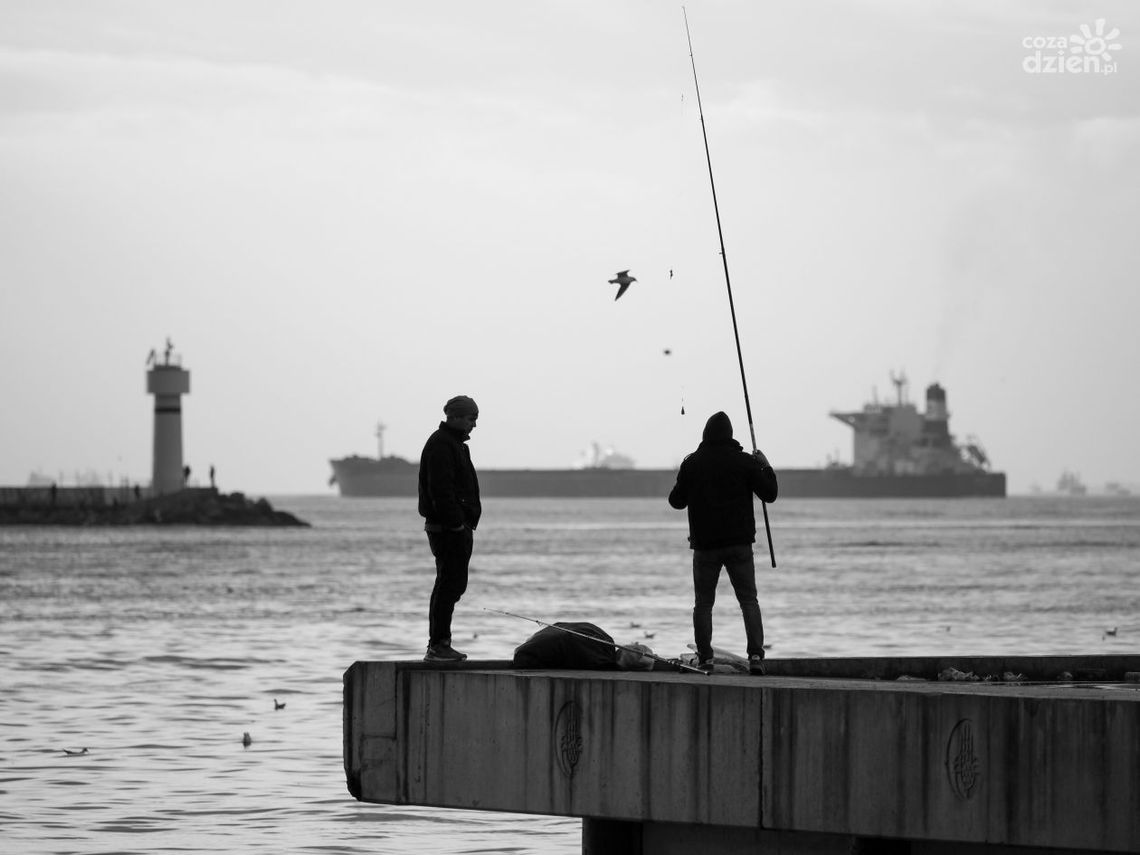 Wędkarstwo dla początkujących – co kupić w sklepie wędkarskim? Wędkarstwo dla początkujących – co kupić w sklepie wędkarskim?