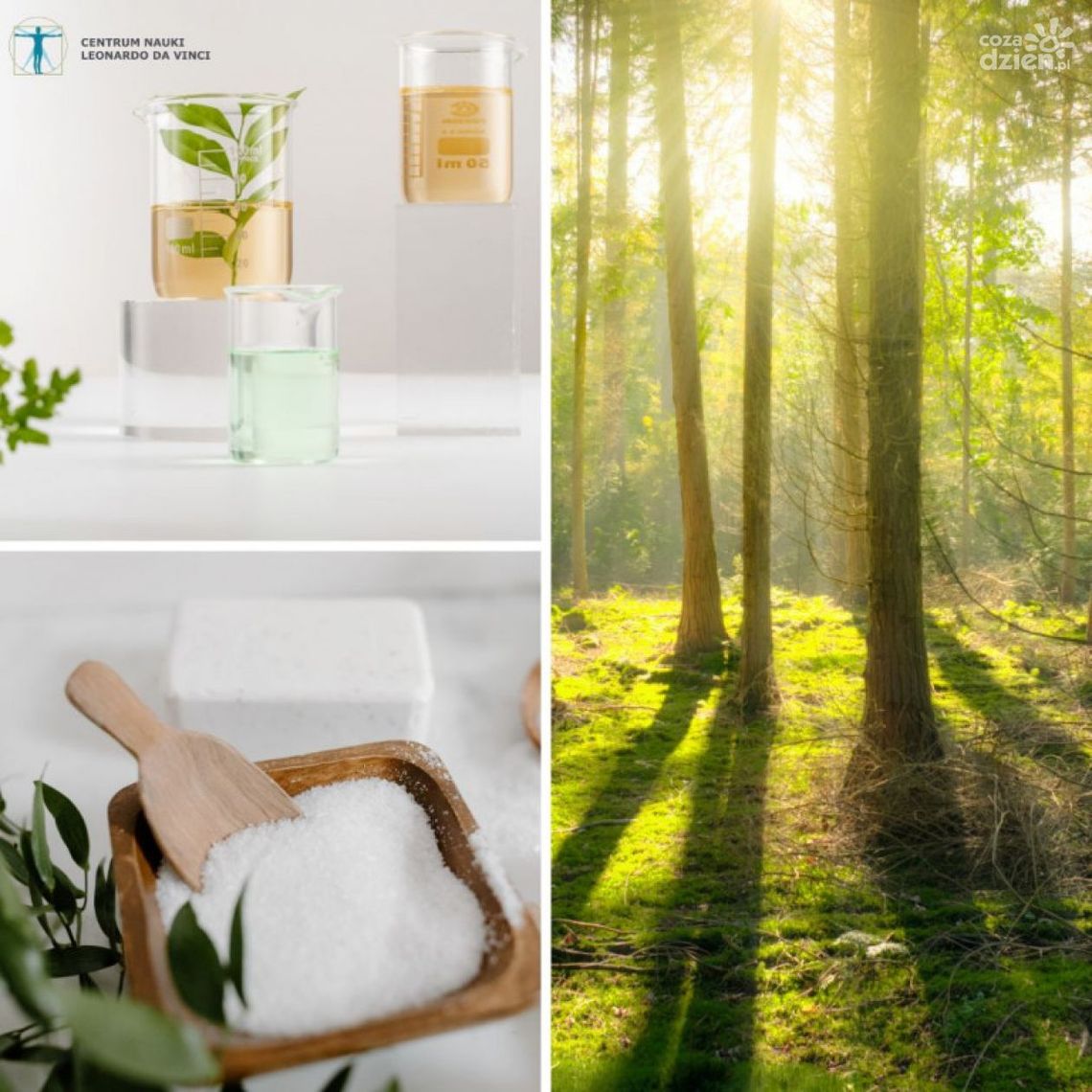 Weekendowe warsztaty i pokazy naukowe w Podzamczu Weekendowe warsztaty i pokazy naukowe w Podzamczu