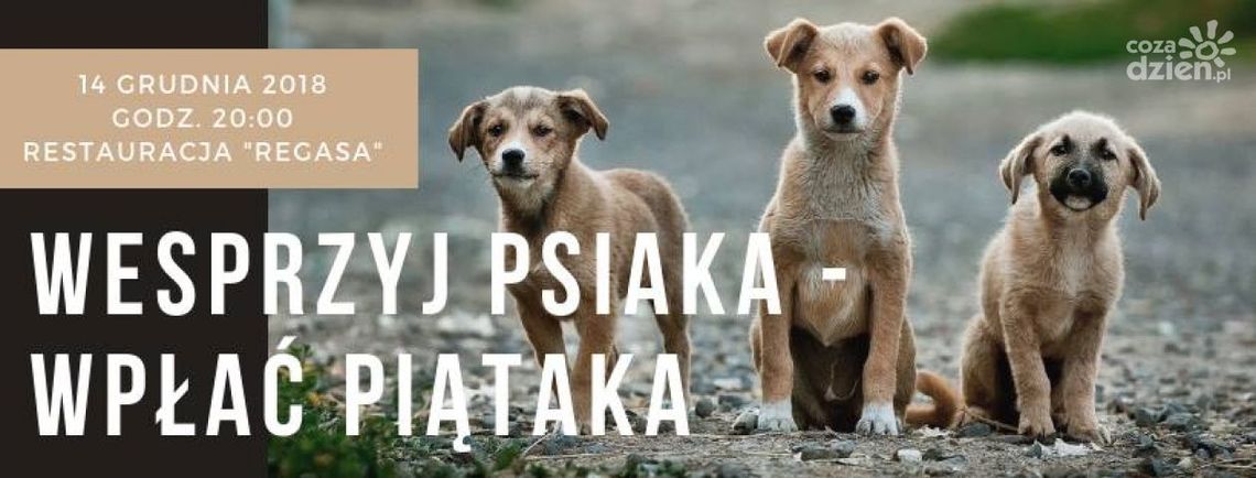 Wesprzyj psiaka - wpłać piątaka! Wesprzyj psiaka - wpłać piątaka!