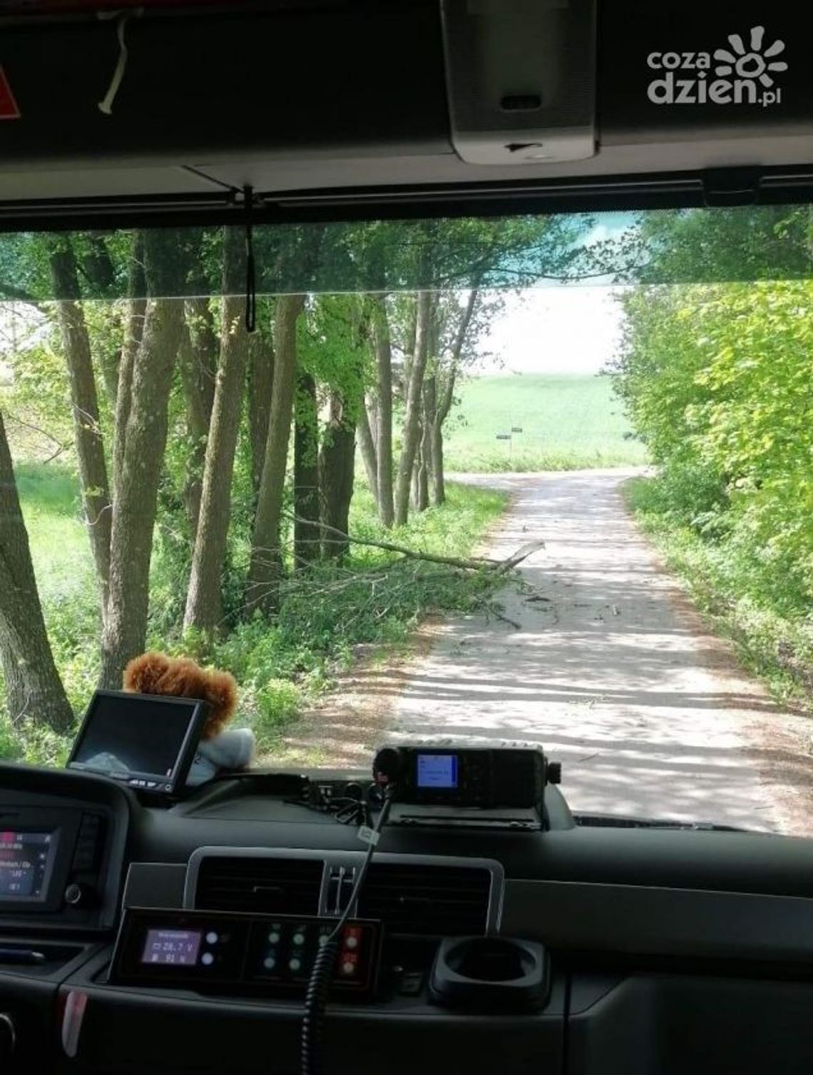 Wiatr oszczędził powiat ostrowiecki Wiatr oszczędził powiat ostrowiecki