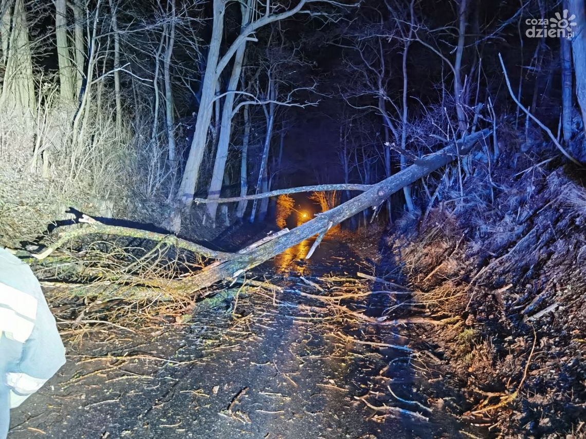 Wichura i pożary, żywioły z którymi zmagali się ostrowieccy strażacy Wichura i pożary, żywioły z którymi zmagali się ostrowieccy strażacy