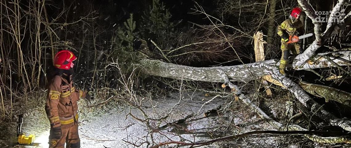 Wichura łaskawa dla Ostrowca Wichura łaskawa dla Ostrowca