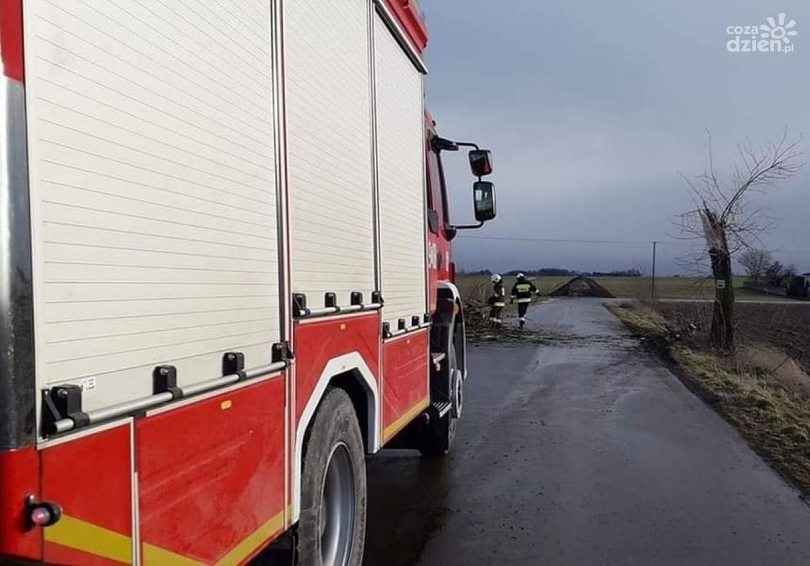 Wichura nad regionem. Strażacy w akcji Wichura nad regionem. Strażacy w akcji