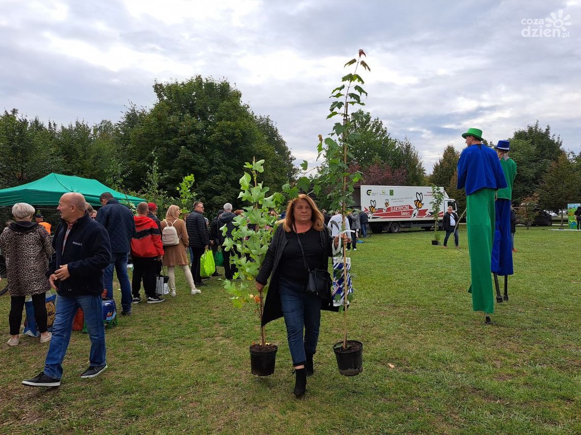 Więcej zieleni, mniej elektrośmieci