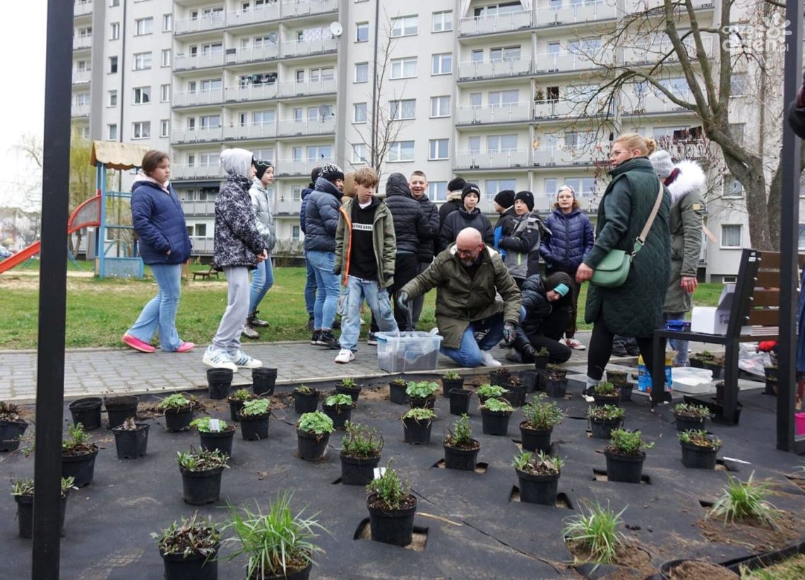 Więcej zieleni w Skarżysku – nowe nasadzenia, łąka kwietna i strefa relaksu Więcej zieleni w Skarżysku – nowe nasadzenia, łąka kwietna i strefa relaksu